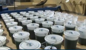 Screen Shot 2013-10-13 at 5.03.46 PM