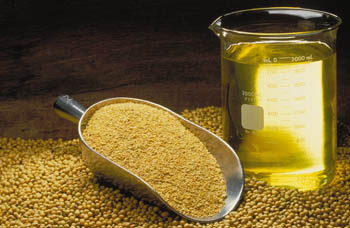 soybean_oil