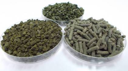 Solaplast_14162697161612