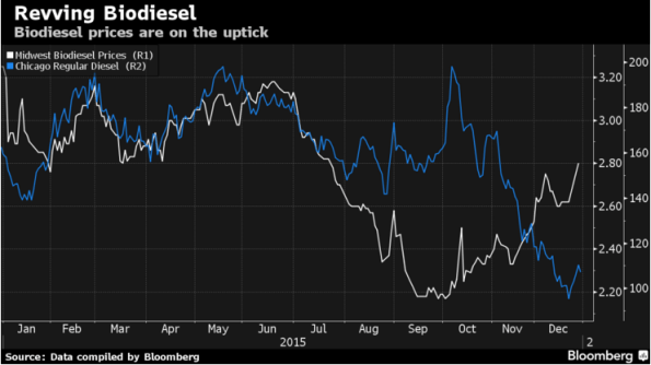 biodiesel price